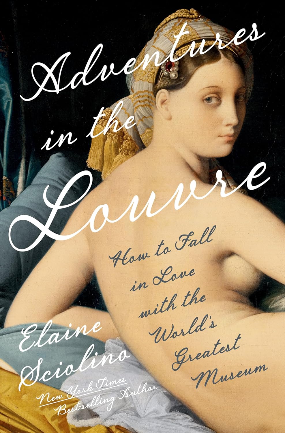 《Adventures in the Louvre》封面,作者Elaine Sciolino